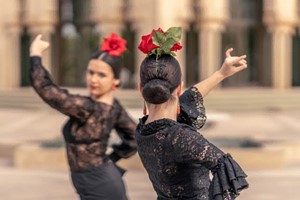 Flamenco: wird oft in Flamenco-____ aufgeführt.