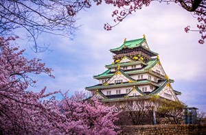 Japan - Die Burg Osaka